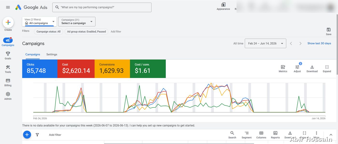 Google Ads campaign results — client data anonymized