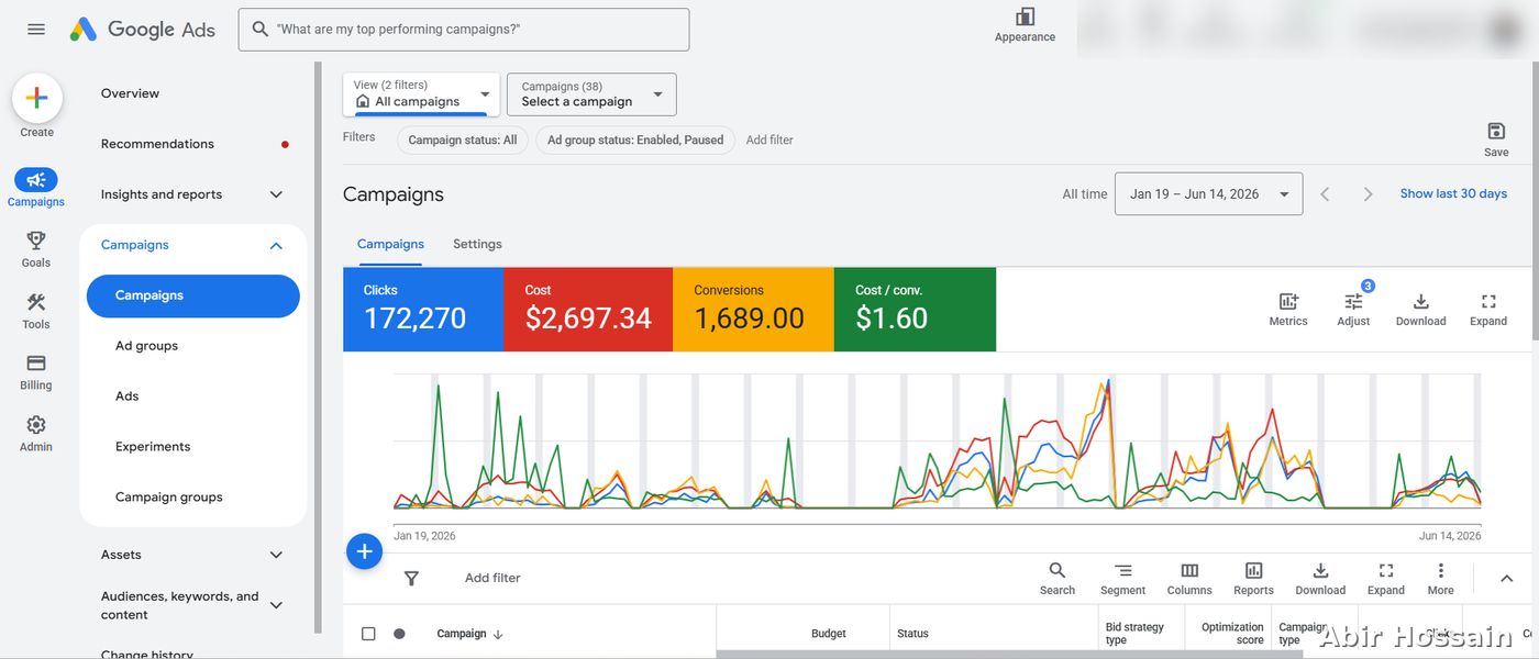 Google Ads campaign results — client data anonymized