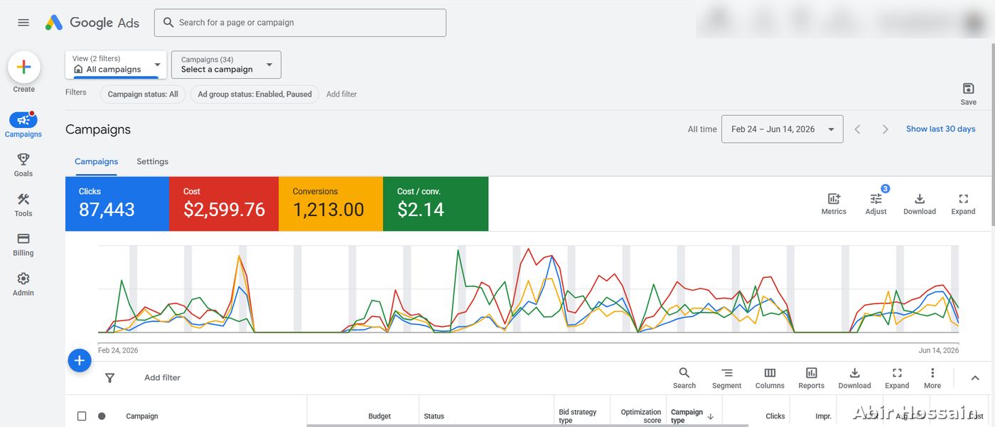 Google Ads campaign results — client data anonymized